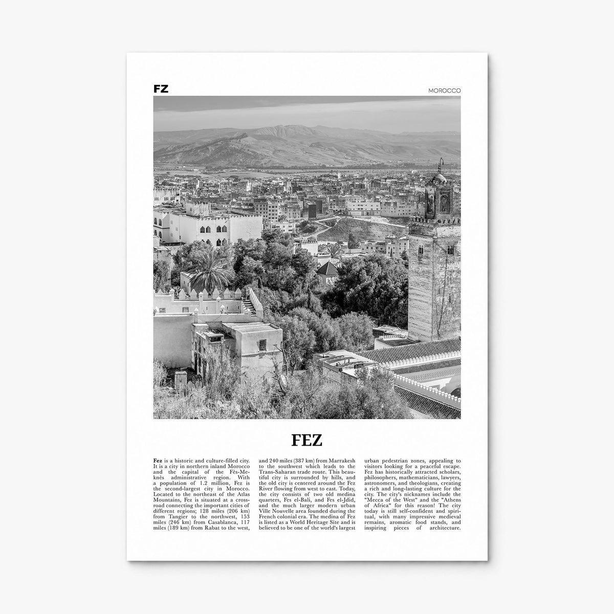 Fez Newspaper Poster, print only (unframed)