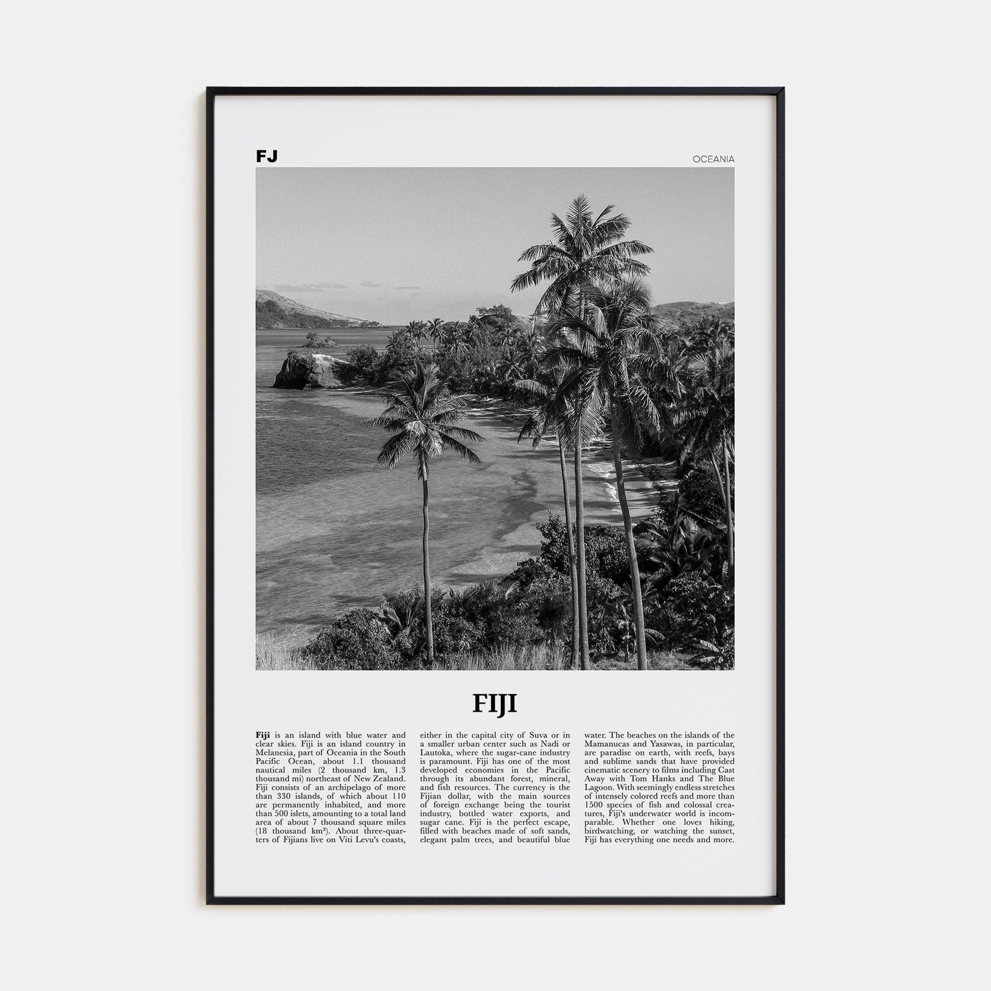 Fiji No 1 Poster None / 8x12 in Nbourhood Travel B&W Poster