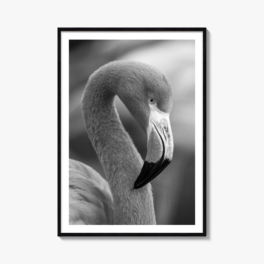 Flamingo black & white photo poster – vertical wall art, unframed print shown in interior mockup