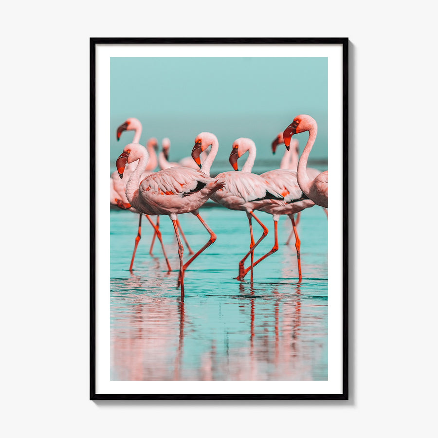 Flamingo Photo No 2 Poster, framed poster mockup, white border