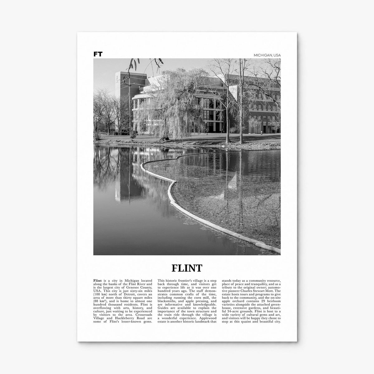 Flint Newspaper Poster, print only (unframed)