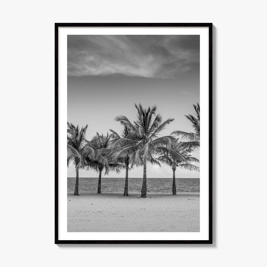 Florida Photo No 2 Poster, framed poster mockup, white border