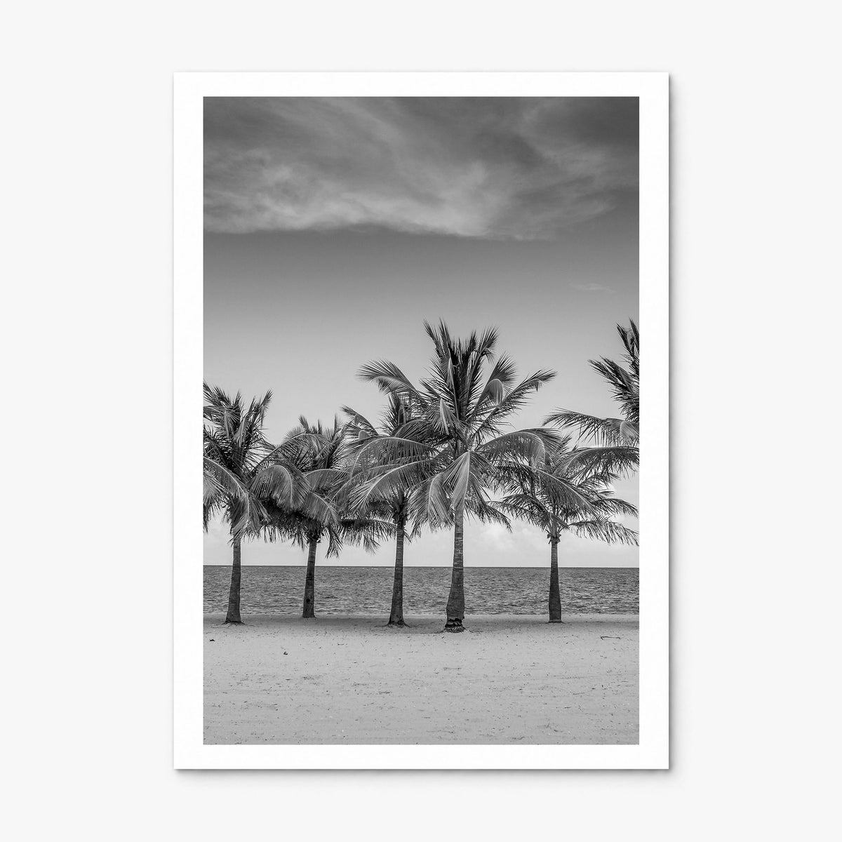 Florida Photo No 2 Poster, print only (unframed), white border