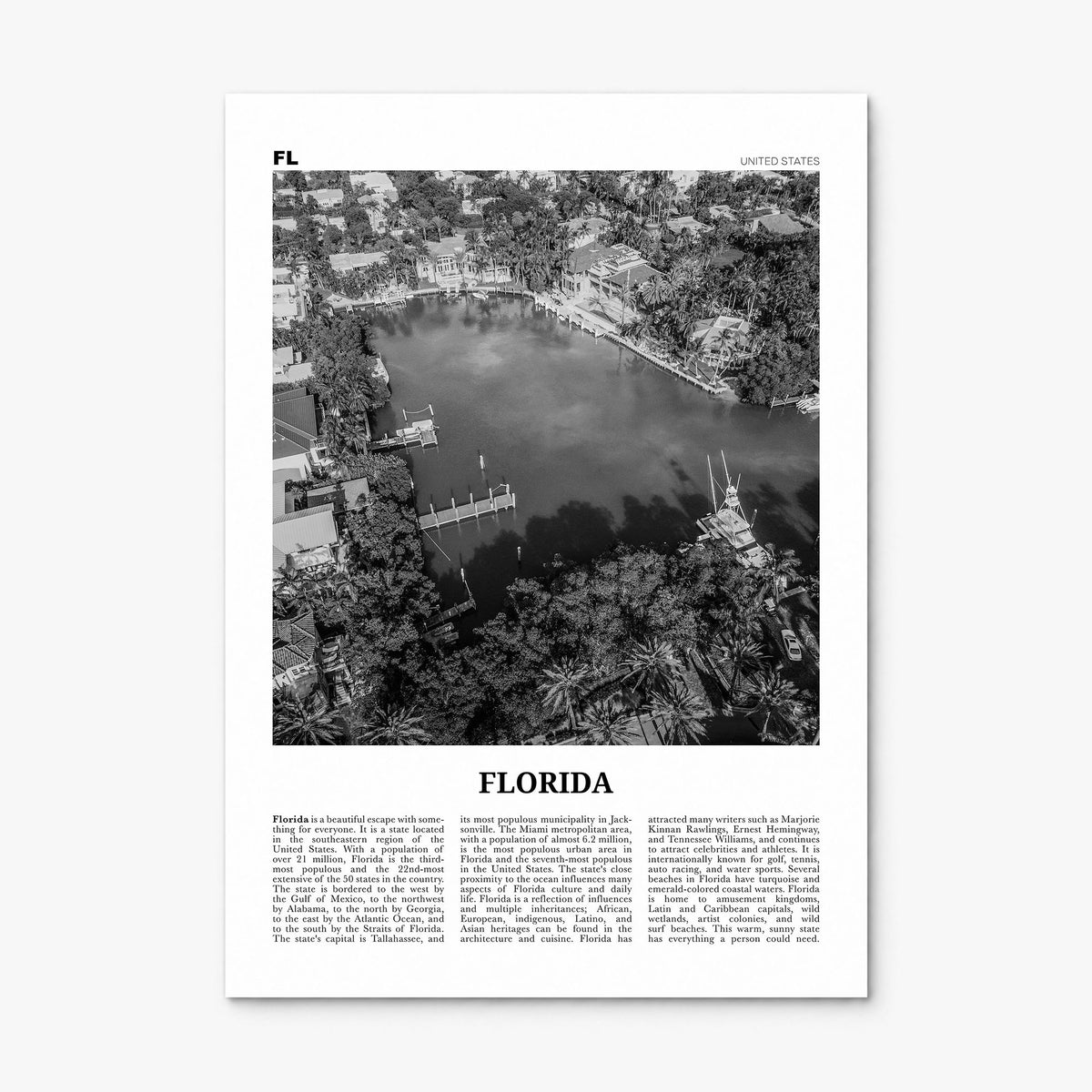 Florida Newspaper No 4 Poster, print only (unframed)