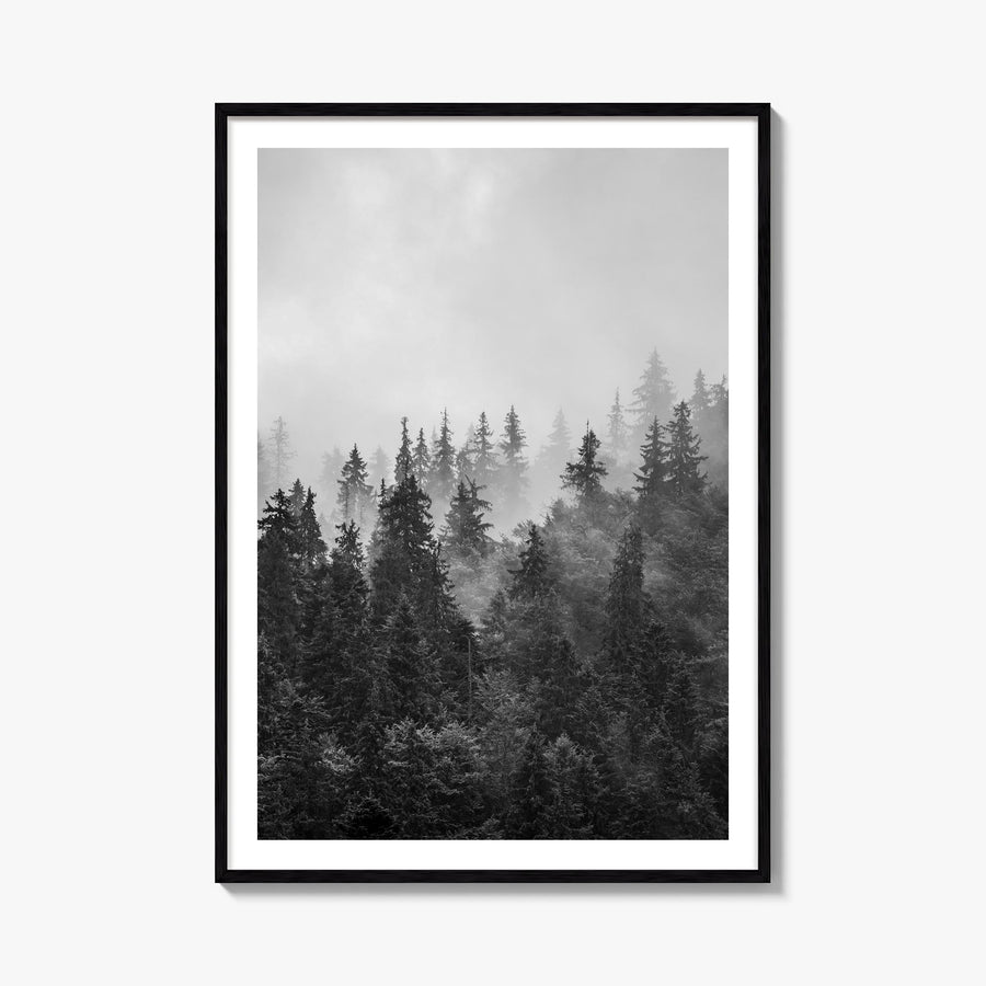Foggy Forest no. 1 black & white photo poster – vertical wall art, unframed print shown in interior mockup