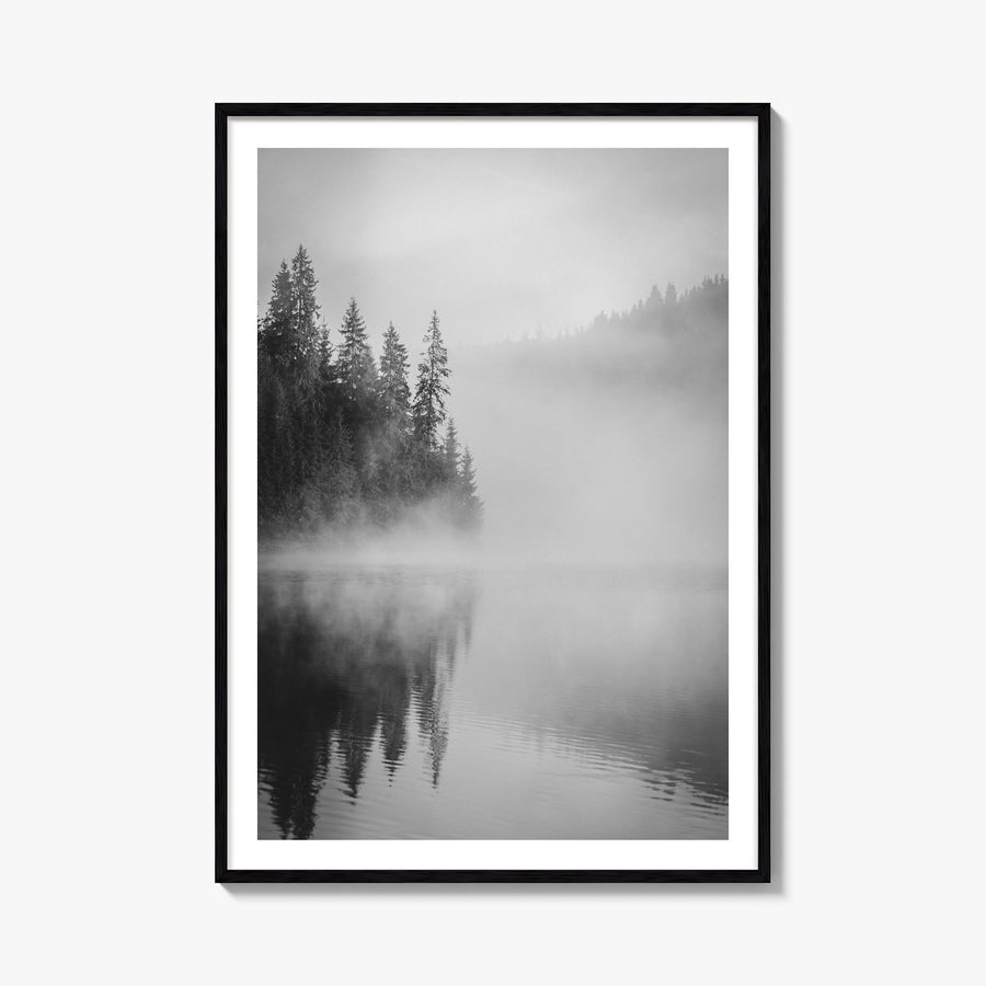 Foggy Forest no. 2 black & white photo poster – vertical wall art, unframed print shown in interior mockup