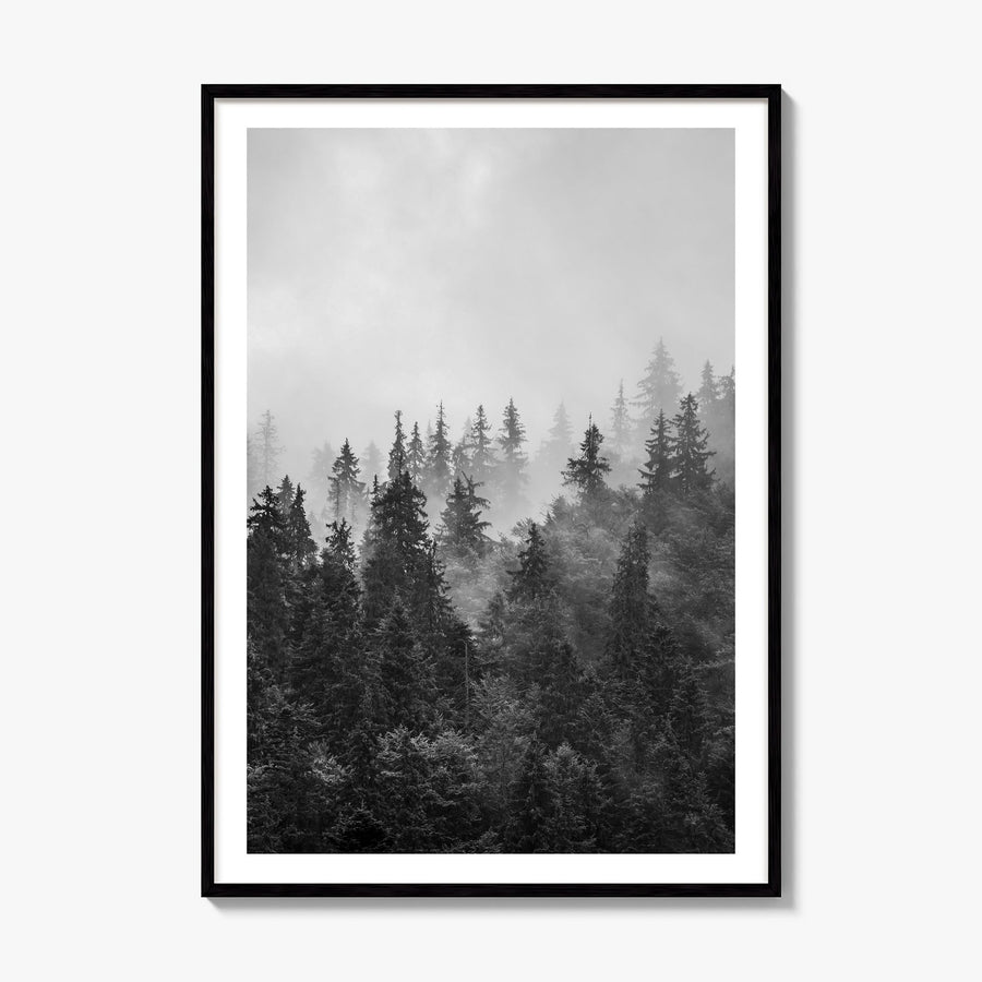Foggy Forest Photo No 1 Poster, framed poster mockup, white border