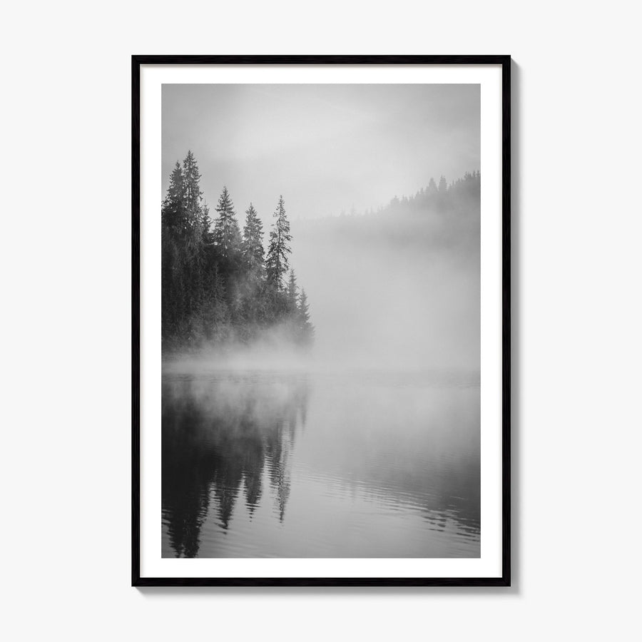 Foggy Forest Photo No 2 Poster, framed poster mockup, white border