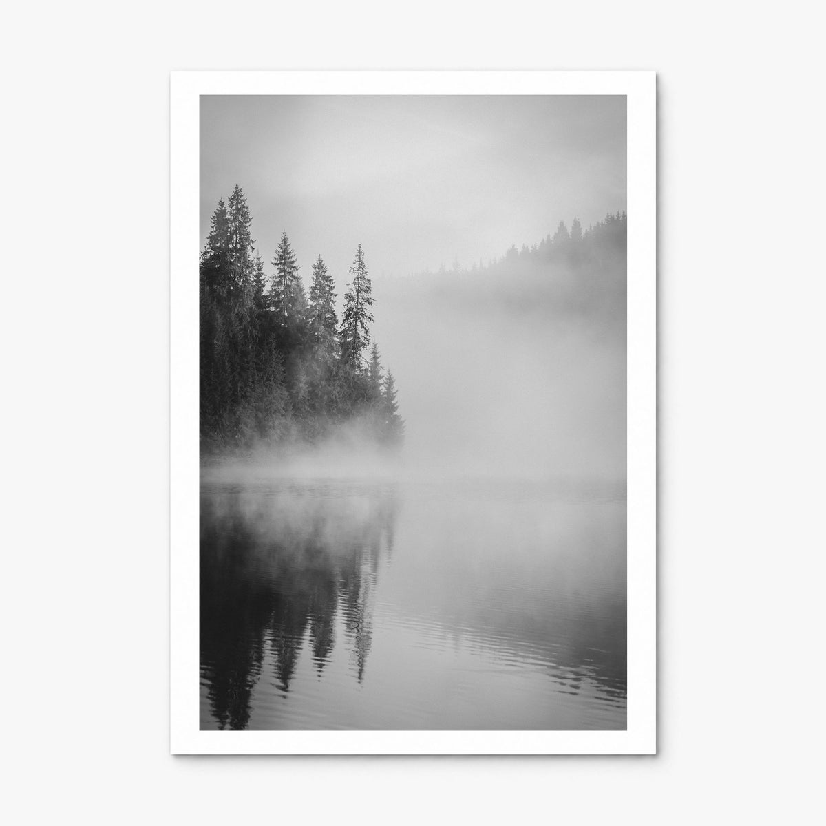 Foggy Forest Photo No 2 Poster, print only (unframed), white border