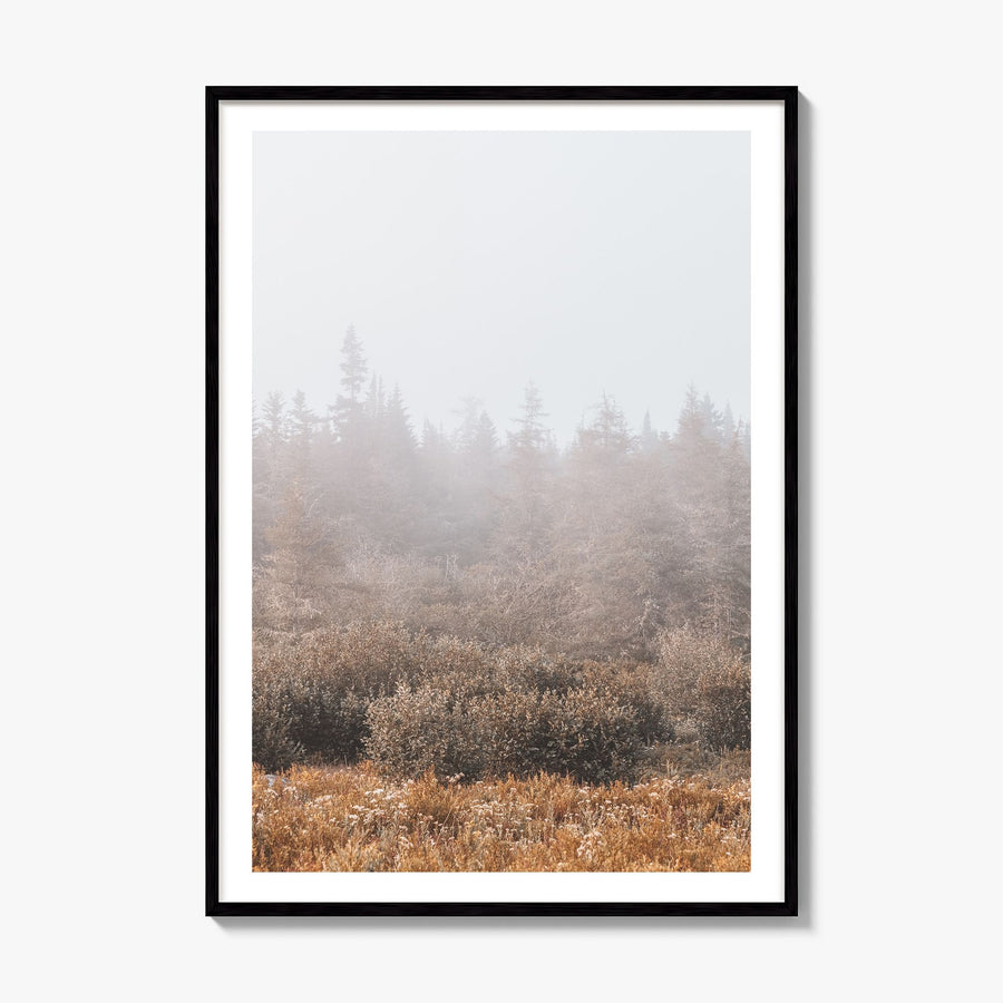 Foggy Forest Photo No 3 Poster, framed poster mockup, white border
