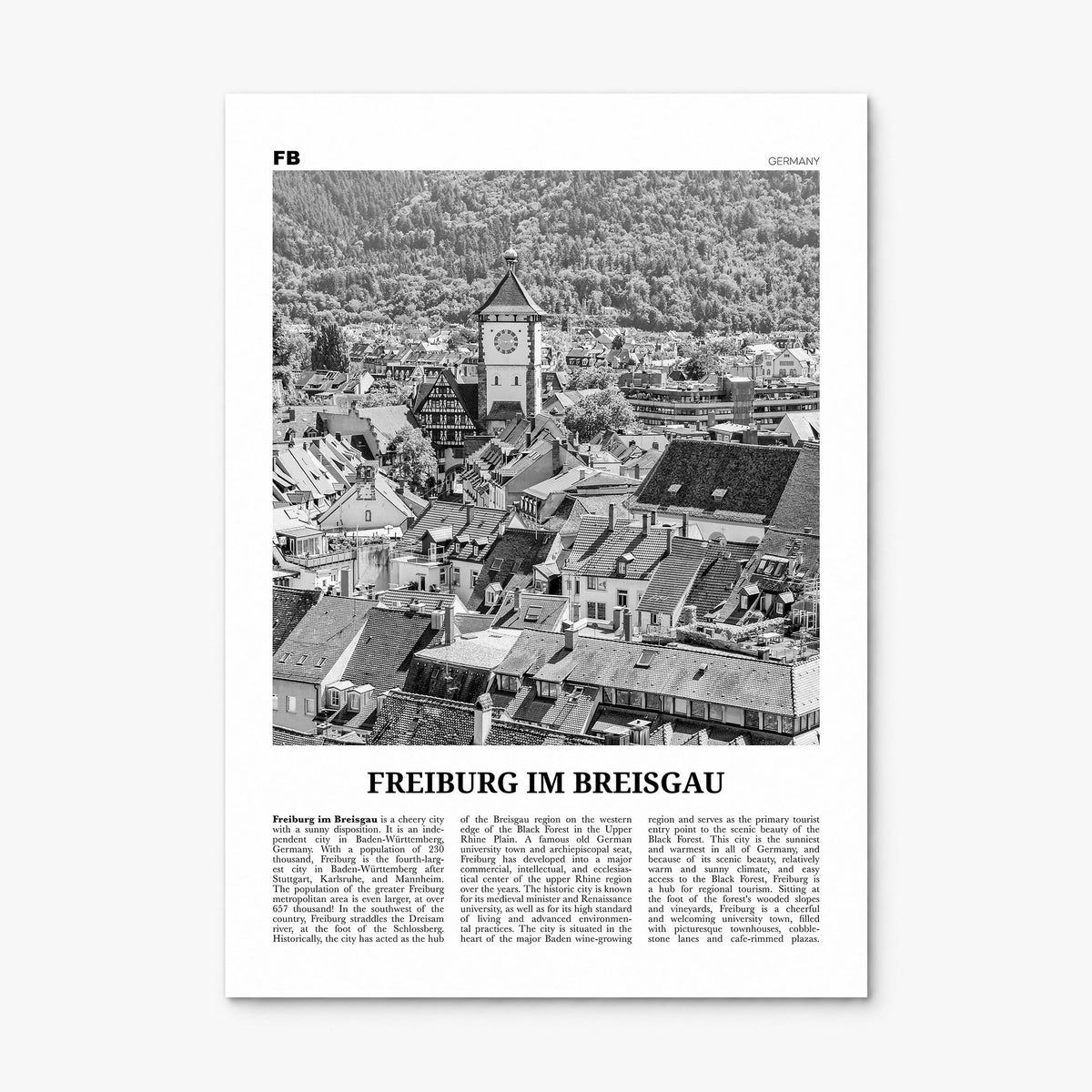 Freiburg im Breisgau Newspaper Poster, print only (unframed)