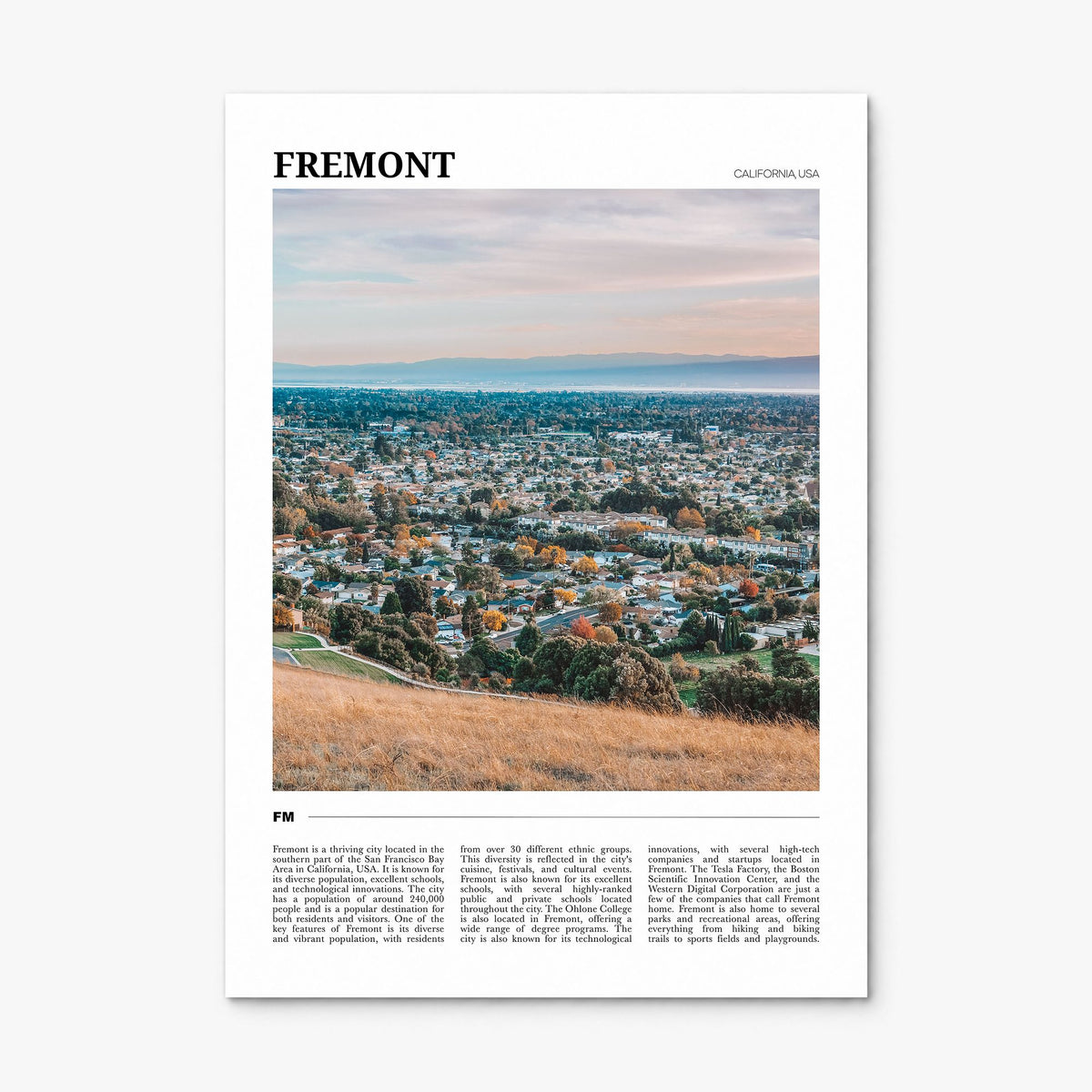 Fremont Travel Poster, print only (unframed)