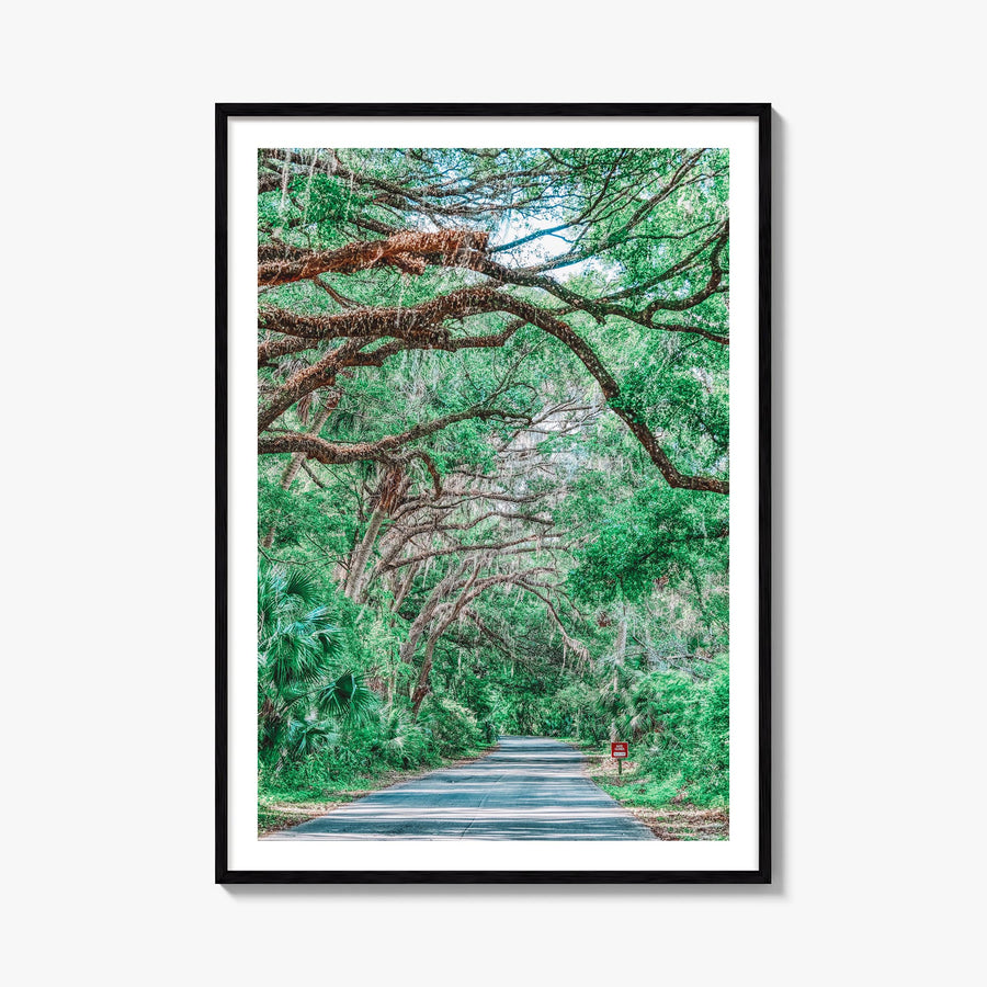 Gainesville no. 2 colorful photo poster of Florida, USA – vertical wall art, unframed print shown in interior mockup