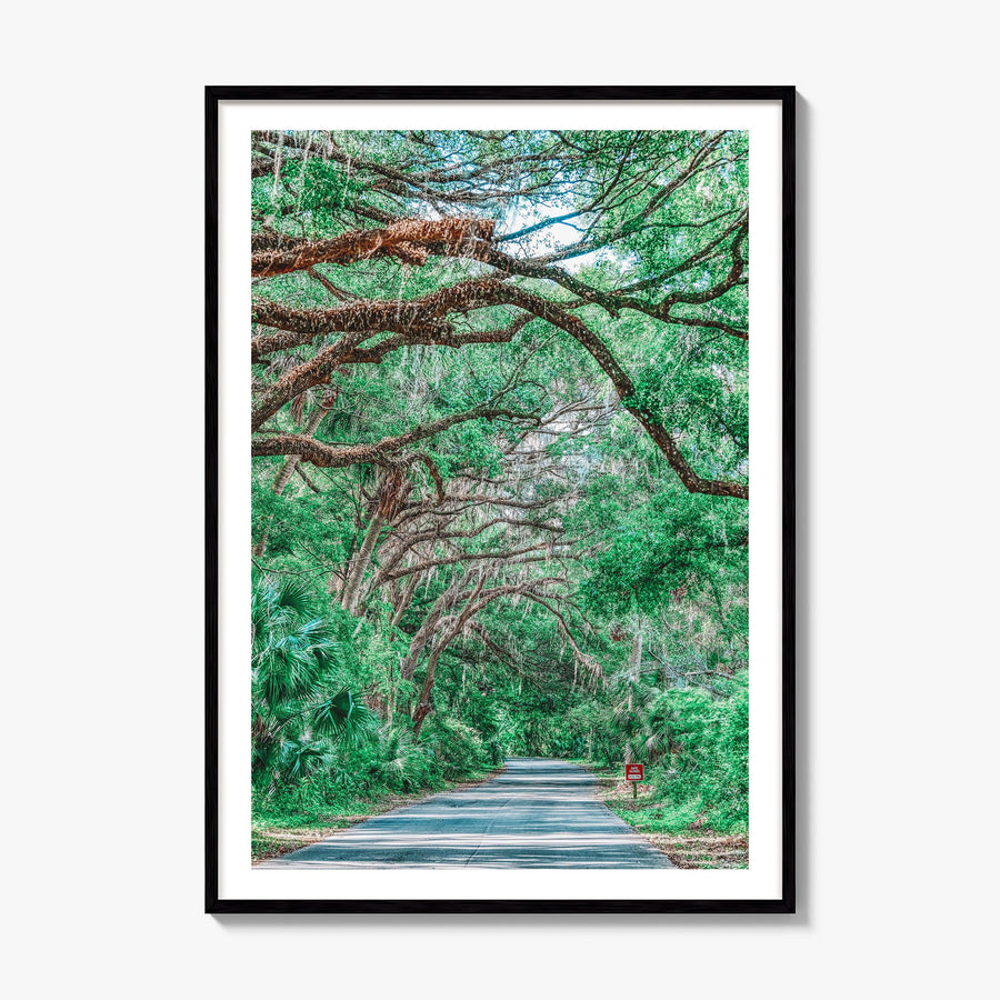 Gainesville Photo No 2 Poster, framed poster mockup, white border