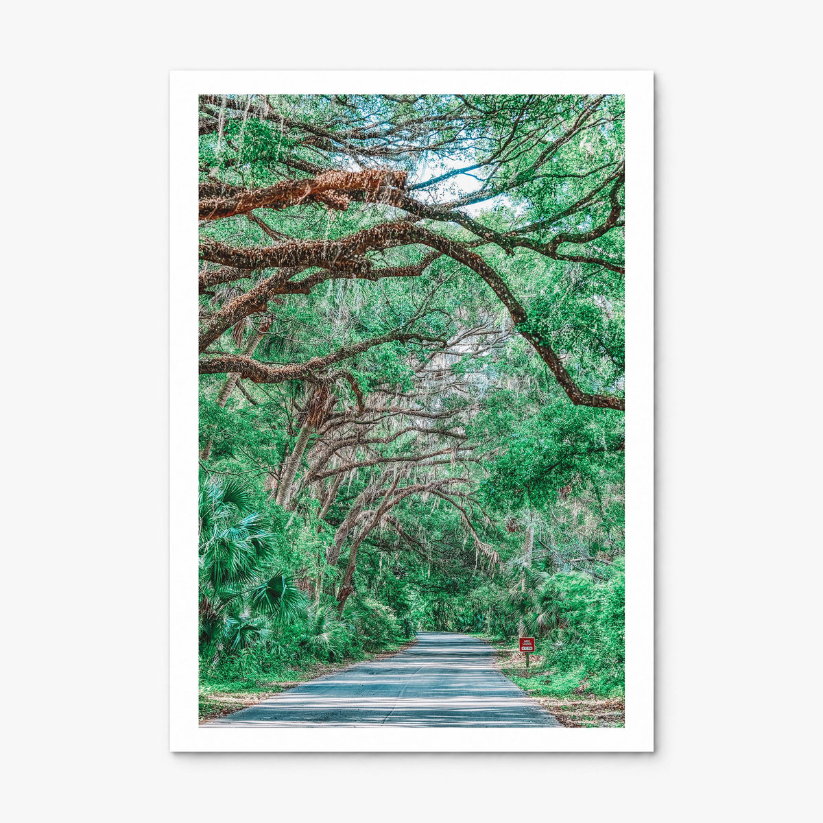 Gainesville Photo No 2 Poster, print only (unframed), white border