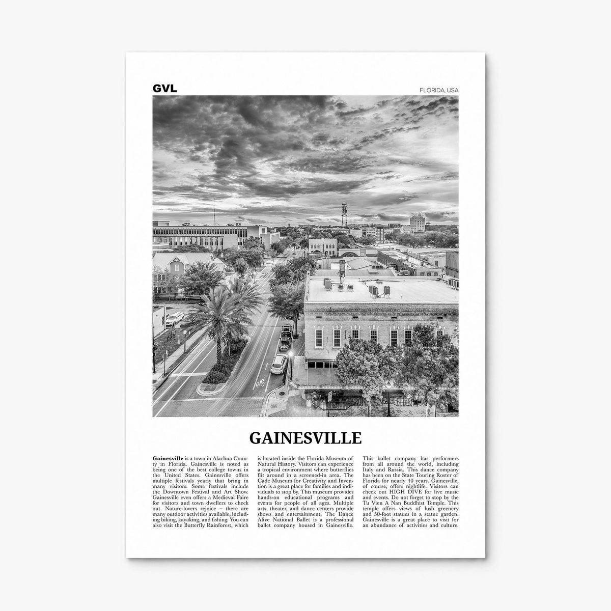 Gainesville Newspaper Poster, print only (unframed)
