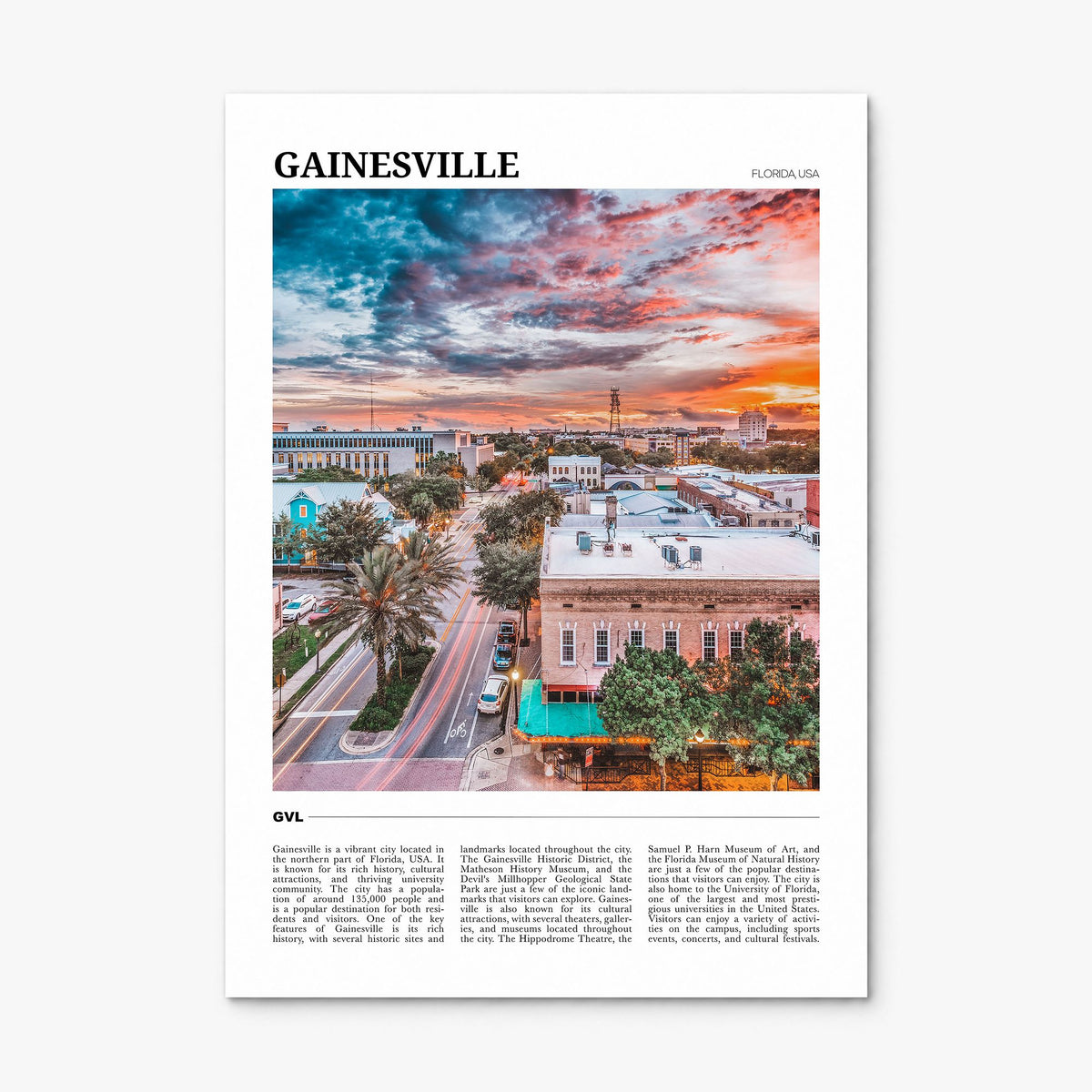 Gainesville Travel Poster, print only (unframed)