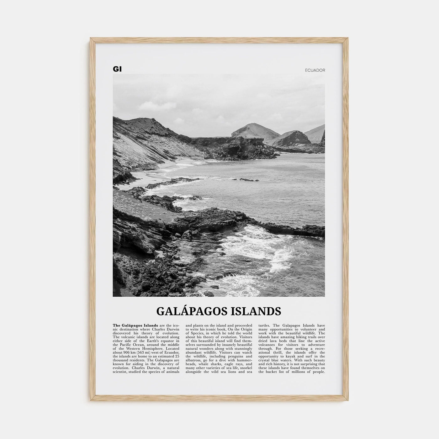 Galápagos Islands Poster Natural Wood / 8x12 in Nbourhood Travel B&W Poster