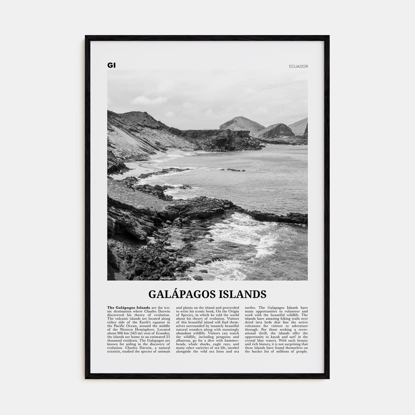 Galápagos Islands Poster Black Wood / 8x12 in Nbourhood Travel B&W Poster