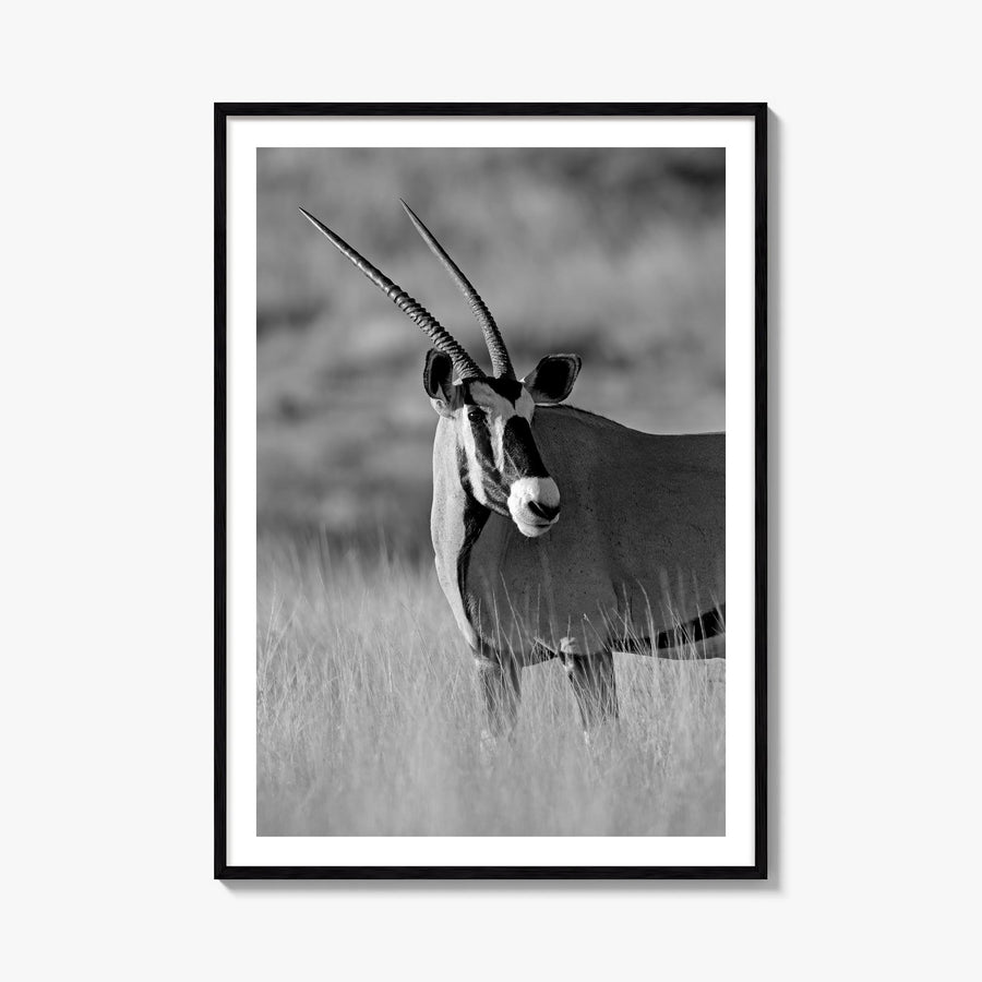 Gazella black & white photo poster – vertical wall art, unframed print shown in interior mockup