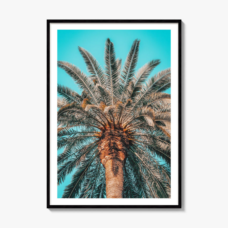 Giant Palm Tree Photo Poster, framed poster mockup, white border