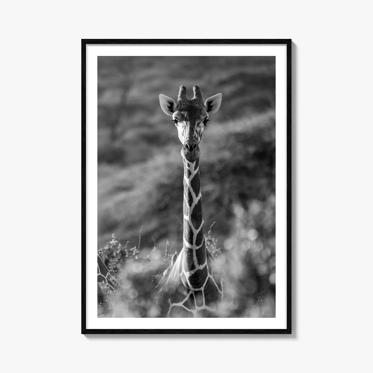 Giraffe no. 1 black & white photo poster – vertical wall art, unframed print shown in interior mockup