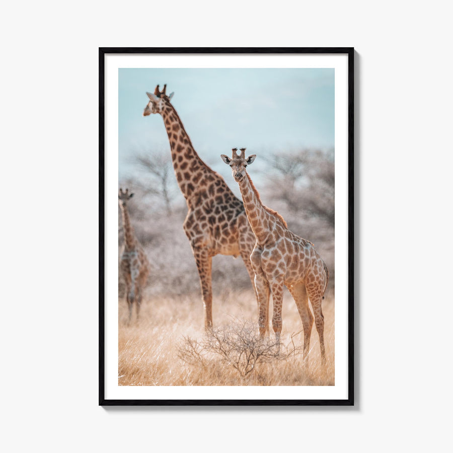 Giraffe no. 1 colorful photo poster – vertical wall art, unframed print shown in interior mockup
