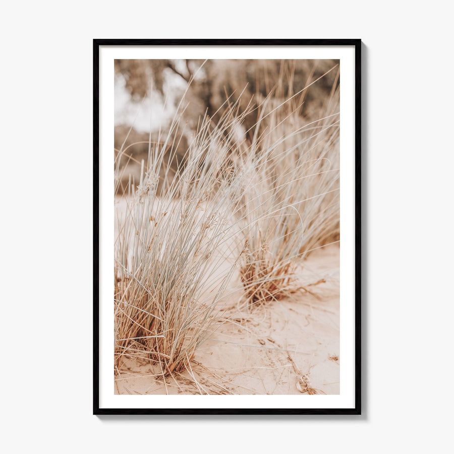 Grass Growing Wild Photo Poster, framed poster mockup, white border