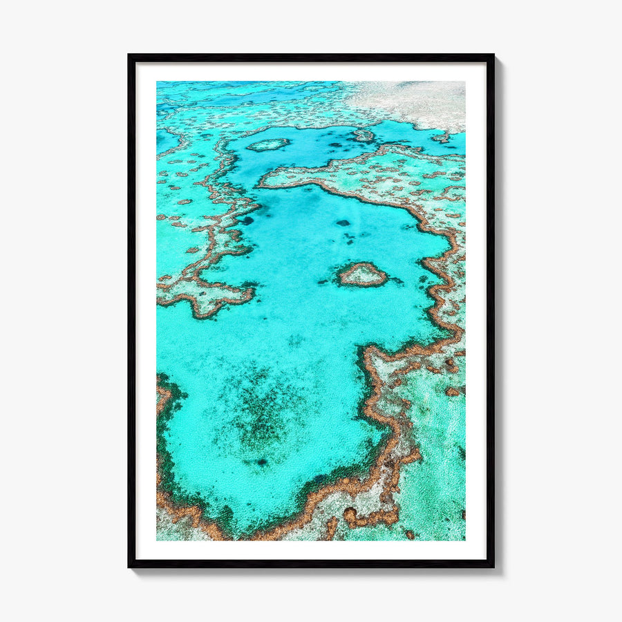 Great Barrier Reef Photo Poster, framed poster mockup, white border