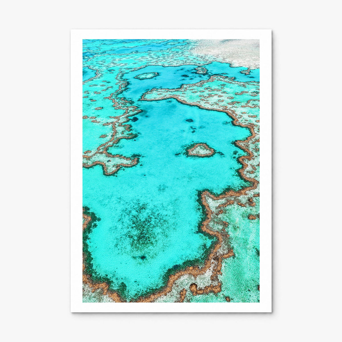 Great Barrier Reef Photo Poster, print only (unframed), white border