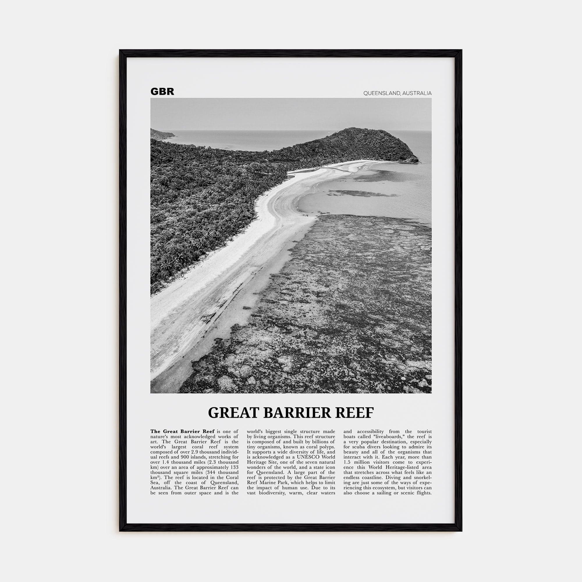 Great Barrier Reef Poster Black Wood / 8x12 in Nbourhood Travel B&W Poster