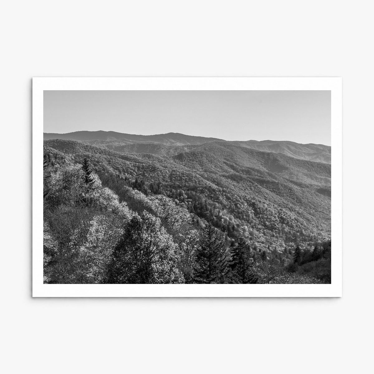 Great Smoky Mountains National Park Photo No 2 Poster, print only (unframed), white border