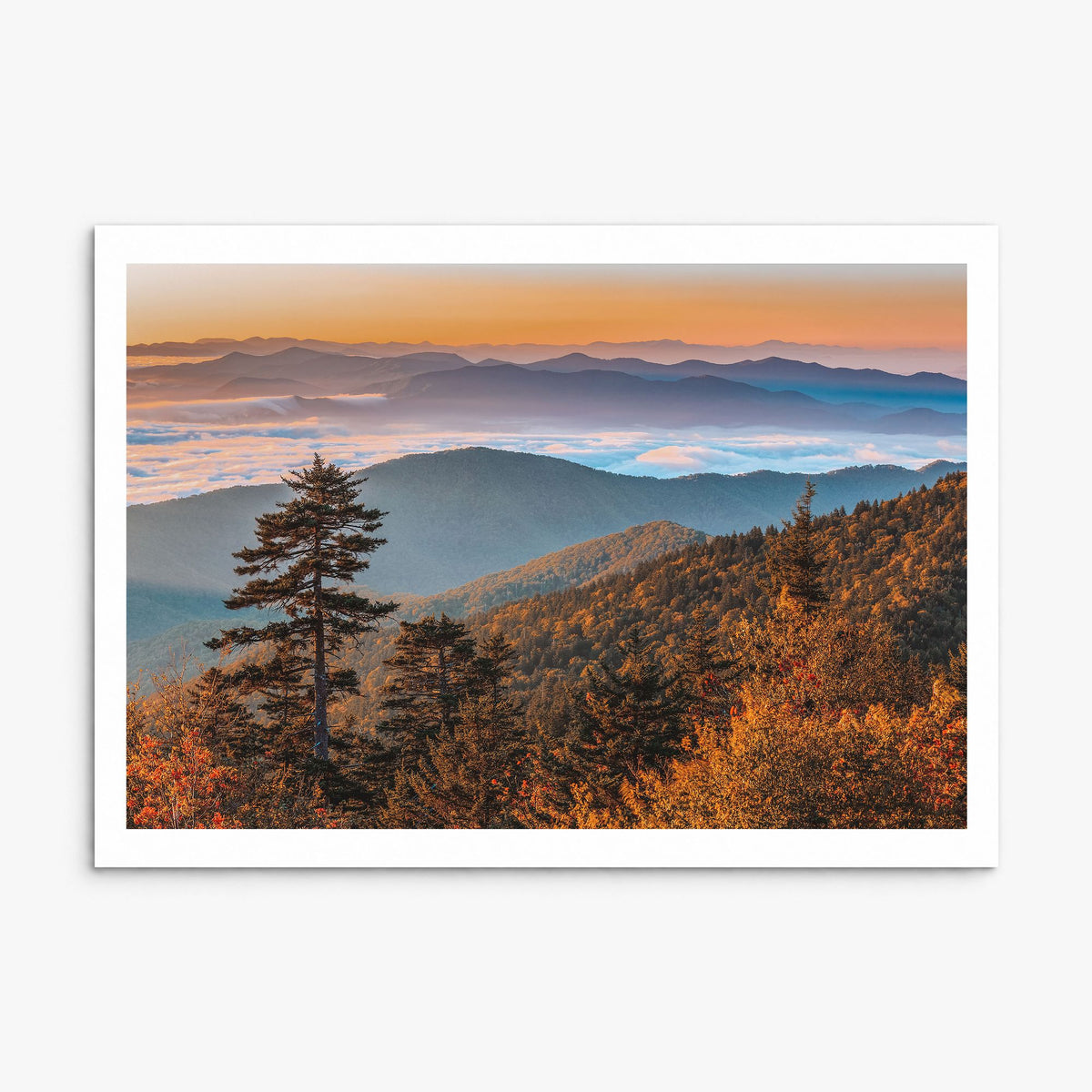 Great Smoky Mountains National Park Photo No 2 Poster, print only (unframed), white border