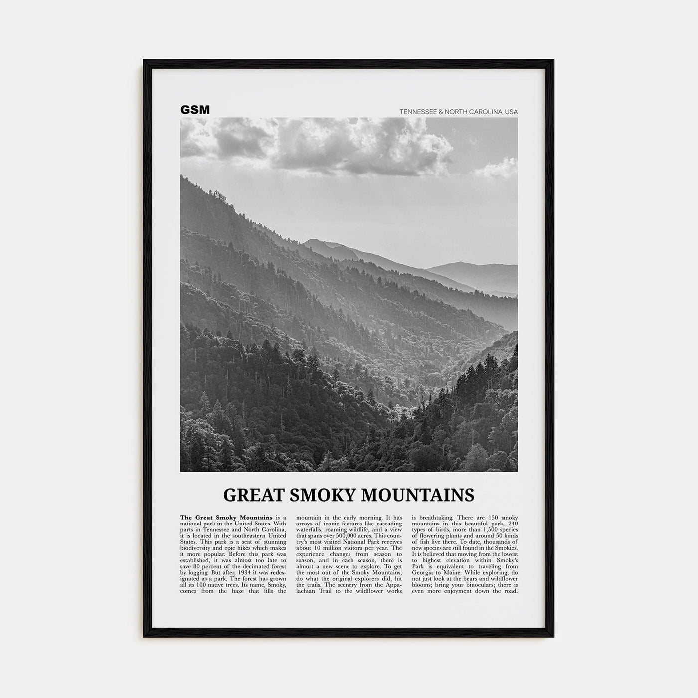 Great Smoky Mountains National Park Poster Black Wood / 8x12 in Nbourhood Travel B&W Poster