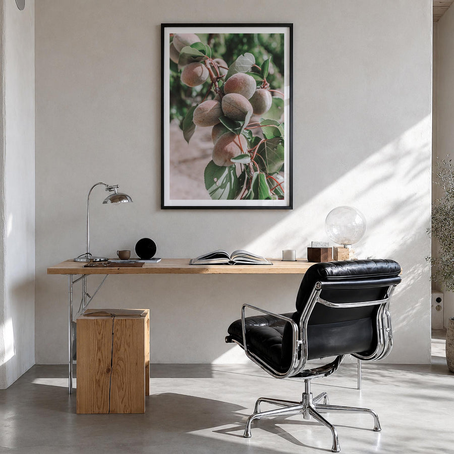 Green Apricots Tree colorful photo poster – vertical wall art in black wood frame with white border, hanging on wall