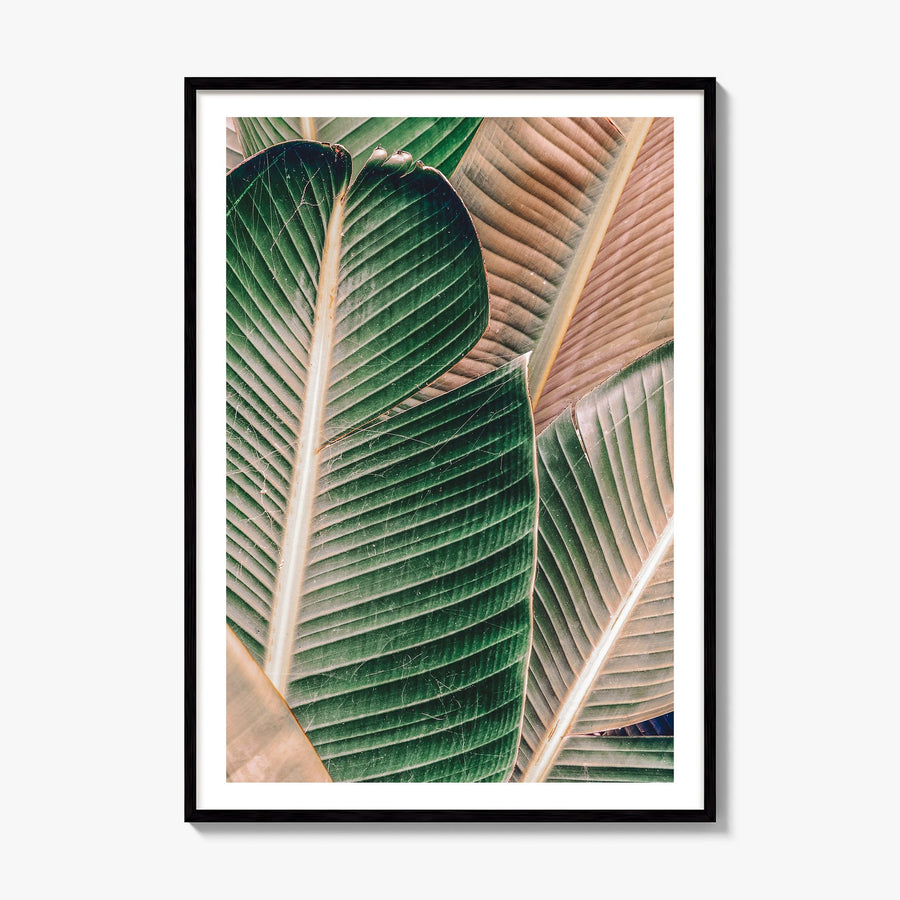 Green Palm Leaf Photo Poster, framed poster mockup, white border