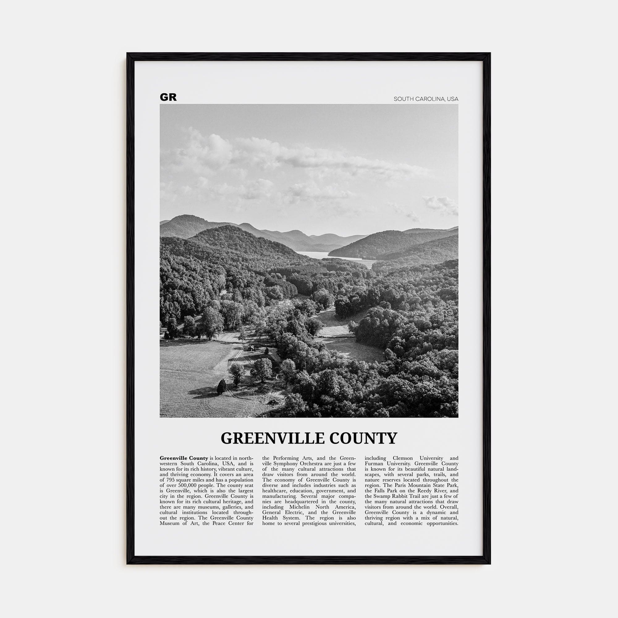 Greenville County Poster Black Wood / 8x12 in Nbourhood Travel B&W Poster