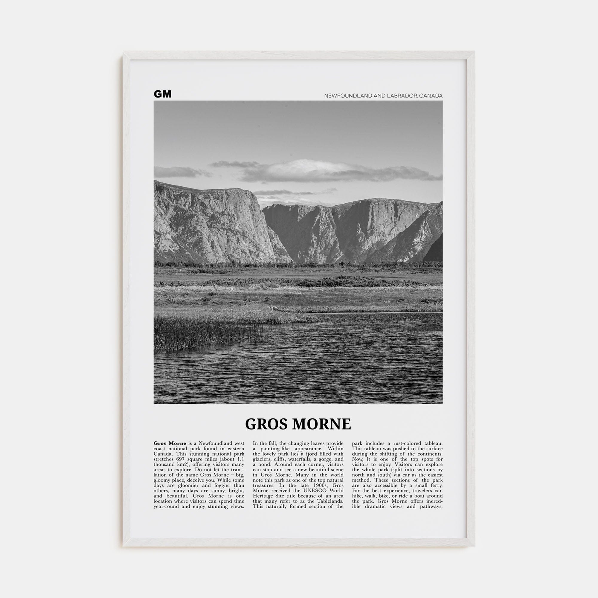 Gros Morne Poster White Wood / 8x12 in Nbourhood Travel B&W Poster