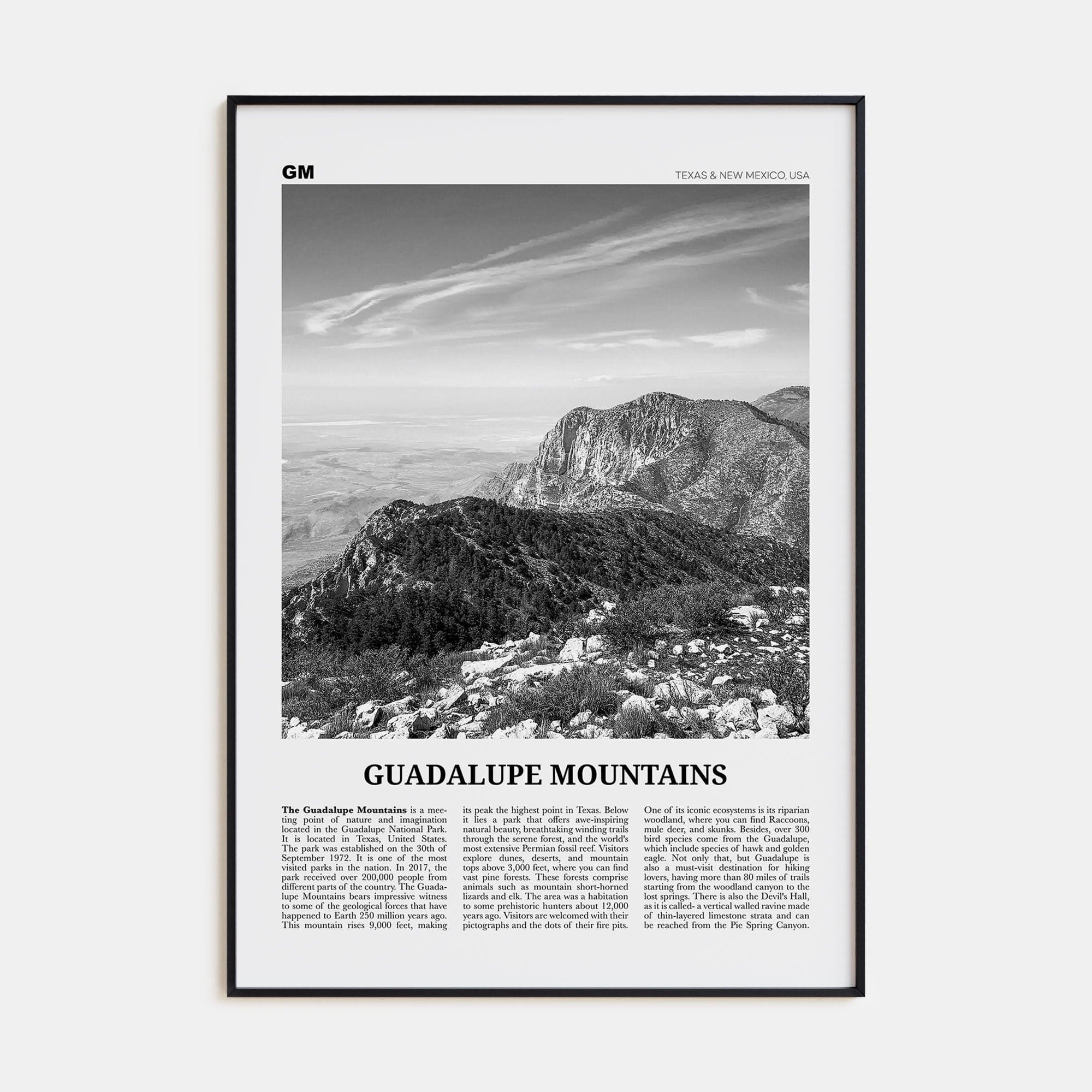 Guadalupe Mountains Poster None / 8x12 in Nbourhood Travel B&W Poster