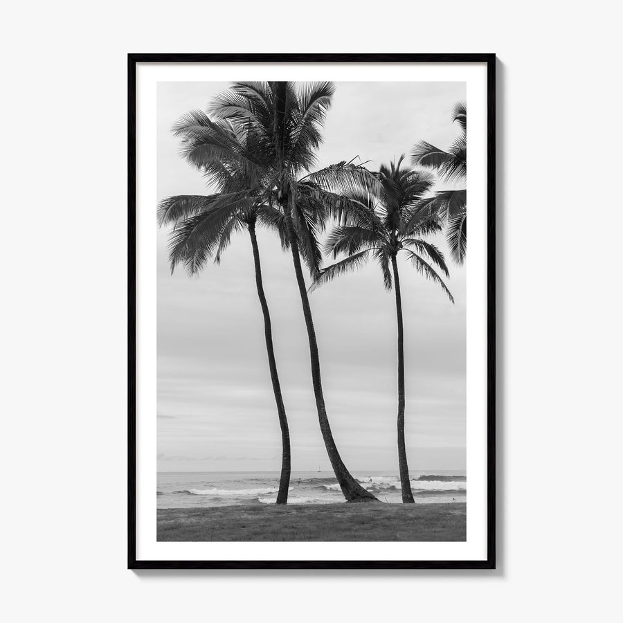Haleiwa Photo Poster, framed poster mockup, white border