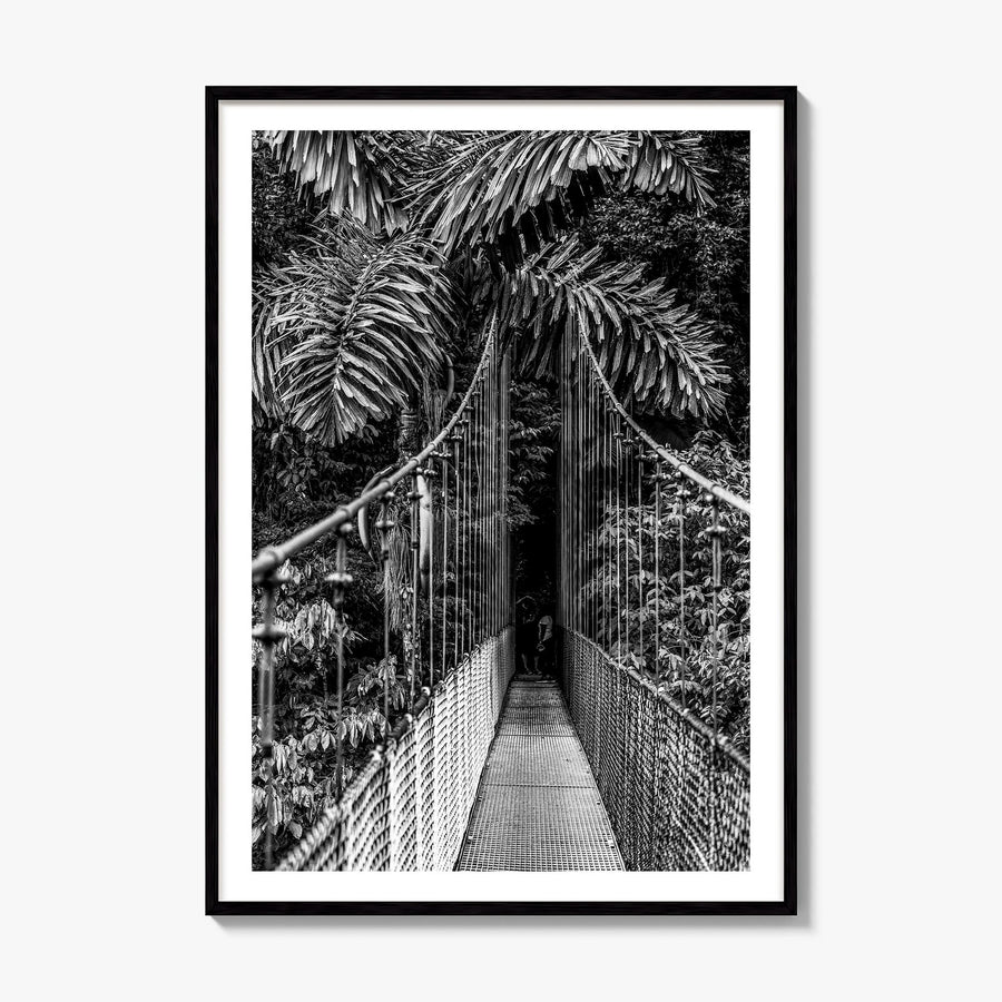 Hanging Bridge Photo Poster, framed poster mockup, white border