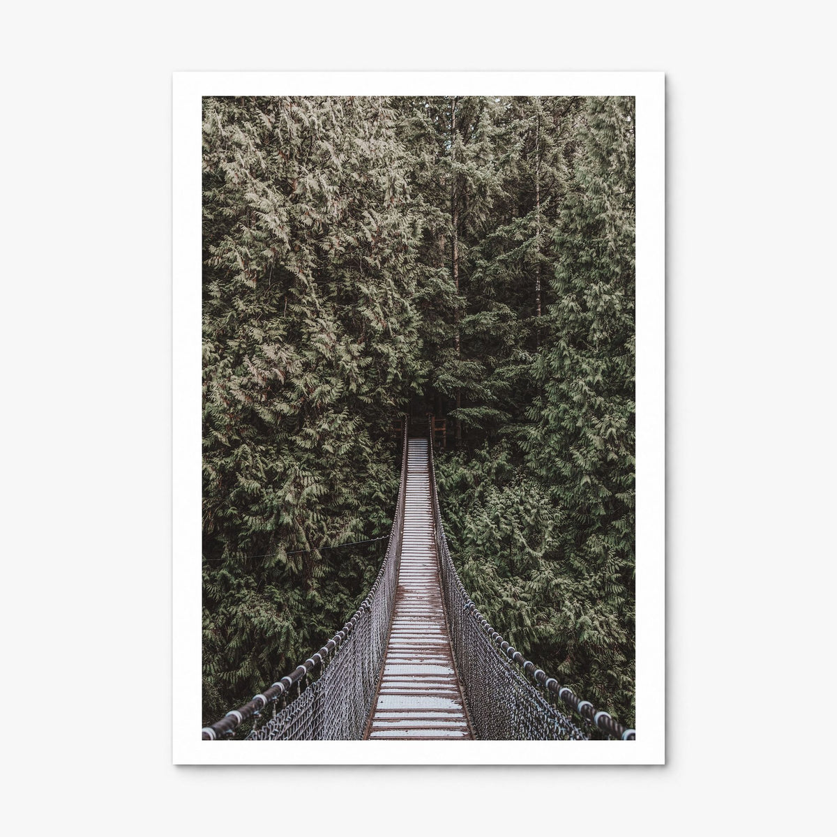 Hanging Bridge Photo Poster, print only (unframed), white border