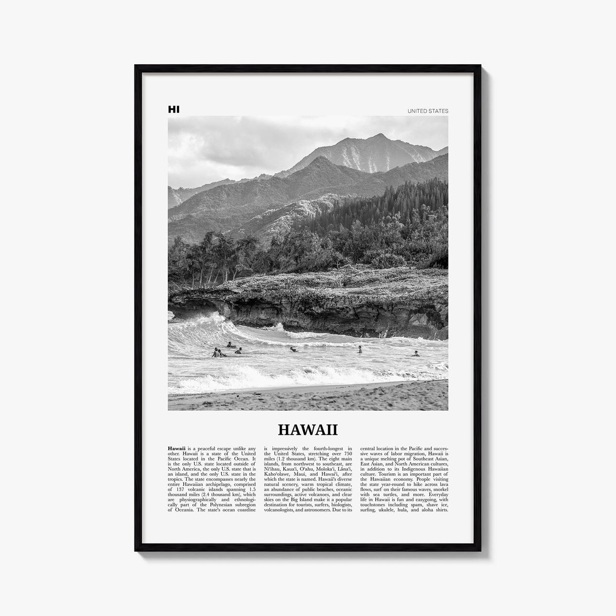Hawaii Newspaper No 1 Poster