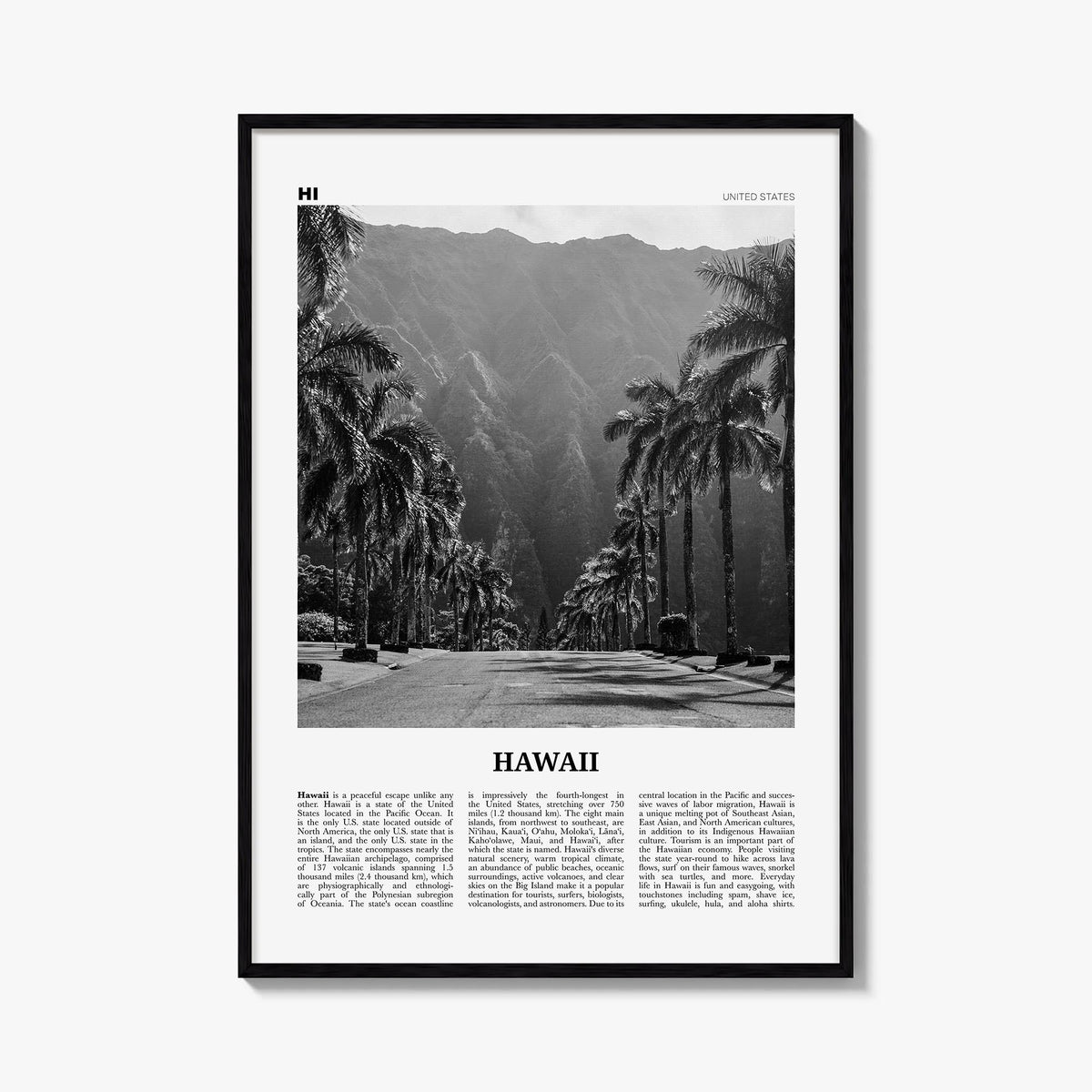 Hawaii Newspaper No 2 Poster