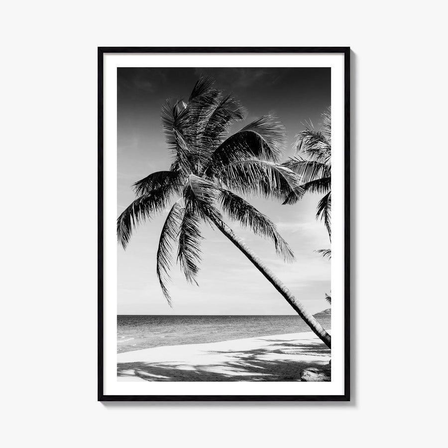 Hawaii no. 2 black & white photo poster of United States – vertical wall art, unframed print shown in interior mockup