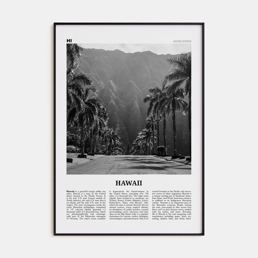 Hawaii No 2 Poster None / 8x12 in Nbourhood Travel B&W Poster