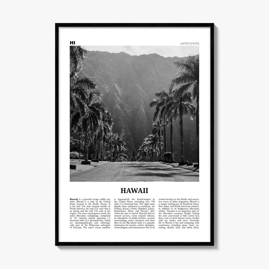 Hawaii Newspaper No 2 Poster, framed poster mockup