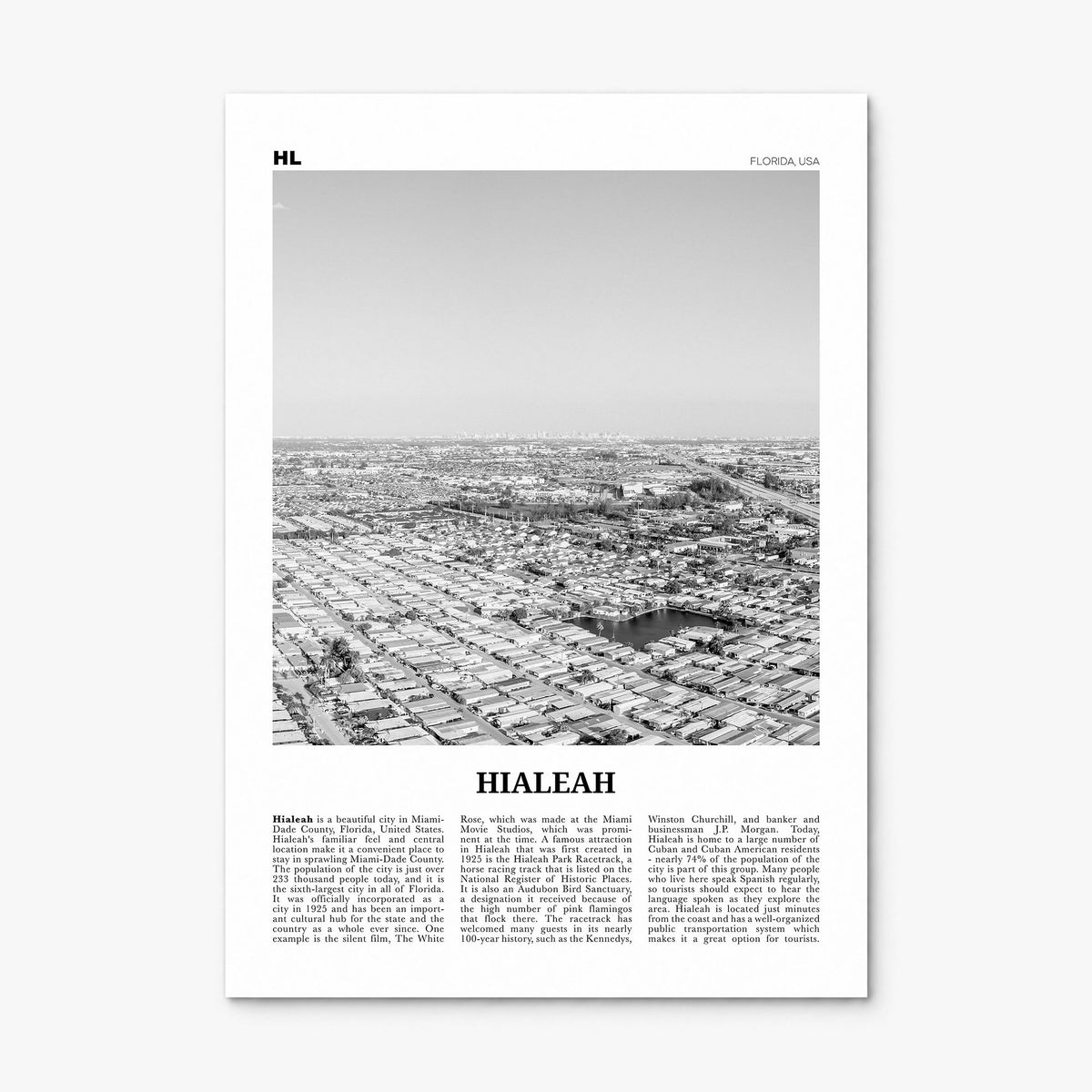 Hialeah Newspaper Poster, print only (unframed)