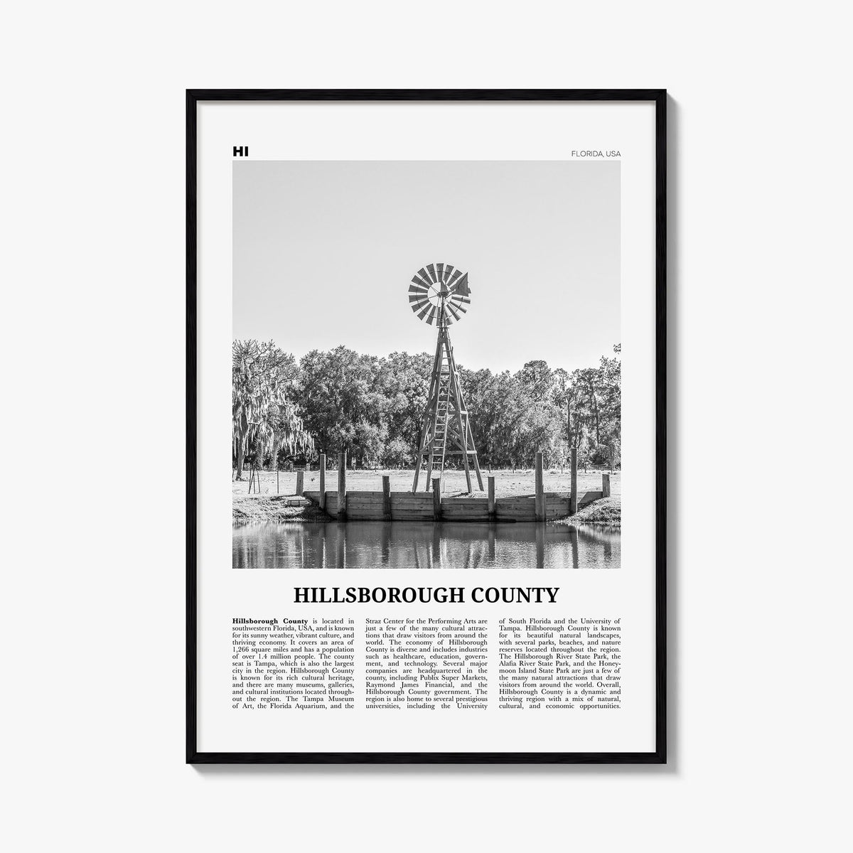 Hillsborough County black & white newspaper poster of Florida, USA – vertical wall art, unframed print shown in interior mock