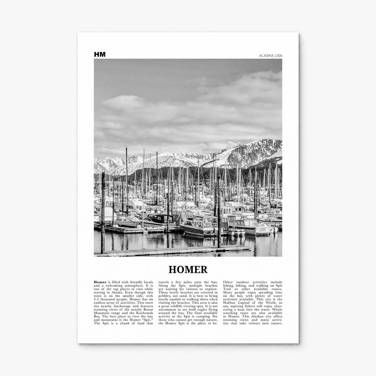 Homer Newspaper Poster, print only (unframed)